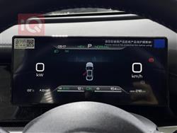 بي واي دي سيل 06 DM-i